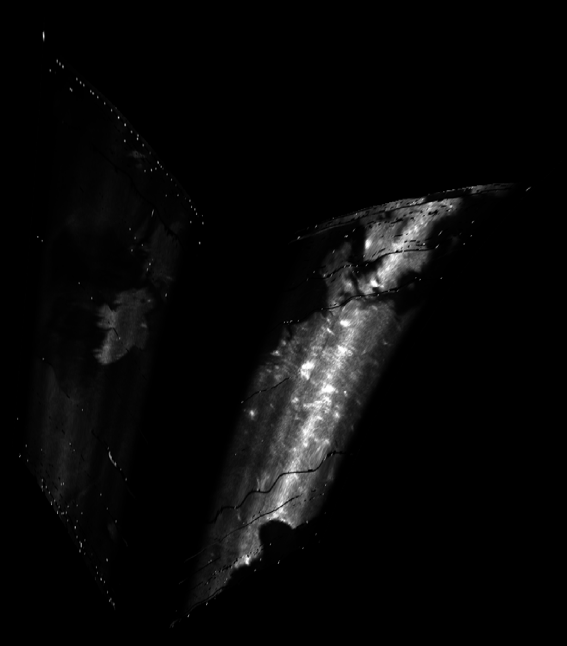 ascat_grayscale_proj_backward.png